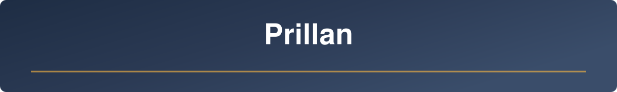 Prillan snus i megacans