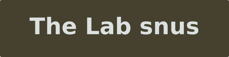 The Lab snus